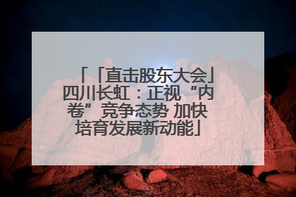 「直击股东大会」四川长虹：正视“内卷”竞争态势 加快培育发展新动能