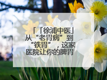 「徐浦中医」从“老胃病”到“铁胃”，这家医院让你的脾胃“回春”有方