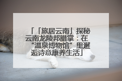 「旅居云南」探秘云南龙陵邦腊掌：在“温泉博物馆”里邂逅诗意康养生活