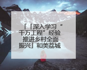 「深入学习“千万工程”经验 推进乡村全面振兴」和美荔城 共富共美 荔城区扎实推进乡村振兴工作
