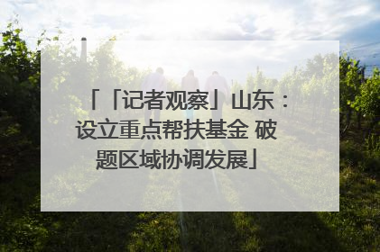 「记者观察」山东：设立重点帮扶基金 破题区域协调发展
