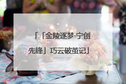 「金陵逐梦·宁创先锋」巧云破茧记
