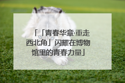「青春华章·重走西北角」闪耀在博物馆里的青春力量