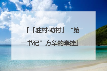 「驻村·助村」“第一书记”方华的牵挂