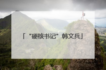 “硬核书记”韩文兵
