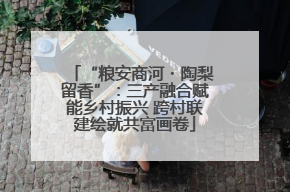“粮安商河・陶梨留香”：三产融合赋能乡村振兴 跨村联建绘就共富画卷