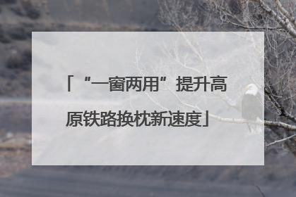 “一窗两用”提升高原铁路换枕新速度