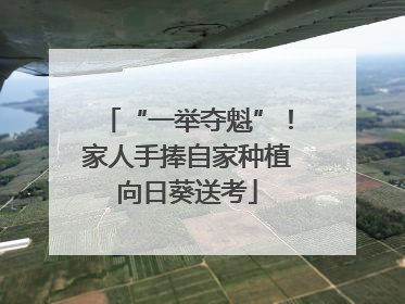 “一举夺魁”！家人手捧自家种植向日葵送考