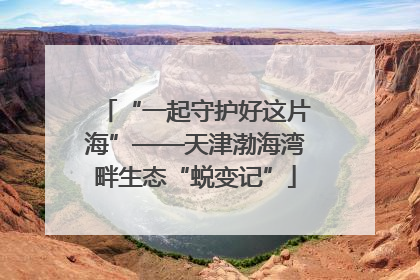 “一起守护好这片海”——天津渤海湾畔生态“蜕变记”
