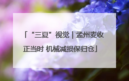 “三夏”视觉｜孟州麦收正当时 机械减损保归仓
