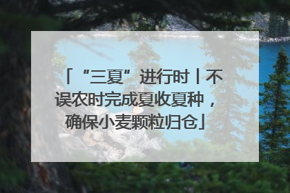 “三夏”进行时丨不误农时完成夏收夏种，确保小麦颗粒归仓