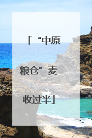 “中原粮仓”麦收过半