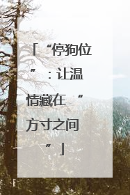 “停狗位 ”：让温情藏在 “方寸之间 ”