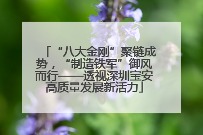 “八大金刚”聚链成势，“制造铁军”御风而行——透视深圳宝安高质量发展新活力