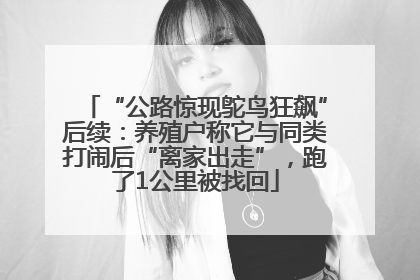 “公路惊现鸵鸟狂飙”后续：养殖户称它与同类打闹后“离家出走”，跑了1公里被找回