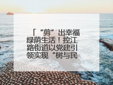 “剪”出幸福绿荫生活！控江路街道以党建引领实现“树与民”双向奔赴