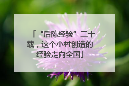 “后陈经验”二十载，这个小村创造的经验走向全国