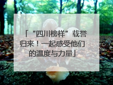 “四川榜样”载誉归来！一起感受他们的温度与力量