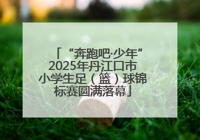 “奔跑吧·少年”2025年丹江口市小学生足（篮）球锦标赛圆满落幕