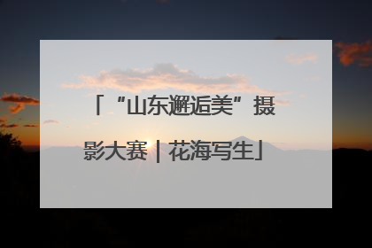 “山东邂逅美”摄影大赛｜花海写生