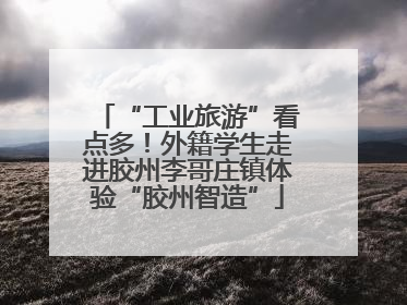 “工业旅游”看点多！外籍学生走进胶州李哥庄镇体验“胶州智造”