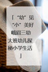 “幼”见“小”美好 峨眉三幼大班幼儿探秘小学生活