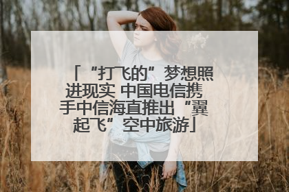 “打飞的”梦想照进现实 中国电信携手中信海直推出“翼起飞”空中旅游