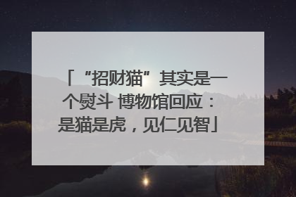 “招财猫”其实是一个熨斗 博物馆回应：是猫是虎，见仁见智
