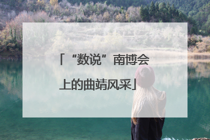 “数说”南博会上的曲靖风采