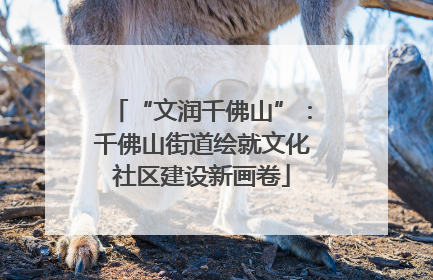 “文润千佛山”：千佛山街道绘就文化社区建设新画卷