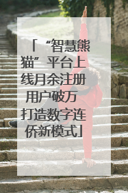 “智慧熊猫”平台上线月余注册用户破万 打造数字连侨新模式