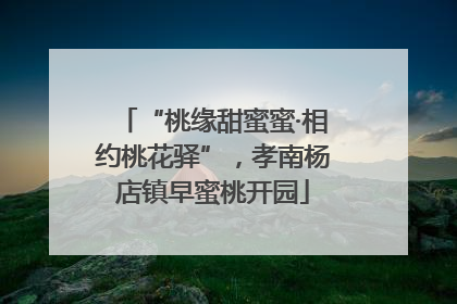 “桃缘甜蜜蜜·相约桃花驿”，孝南杨店镇早蜜桃开园