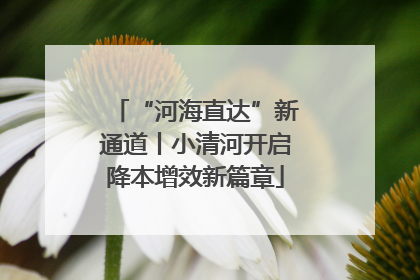 “河海直达”新通道丨小清河开启降本增效新篇章