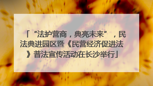 “法护营商，典亮未来”，民法典进园区暨《民营经济促进法》普法宣传活动在长沙举行