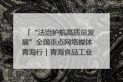 “法治护航高质量发展”全国重点网络媒体青海行｜青海食品工业协会：架起“青字号”美食的产业化桥梁