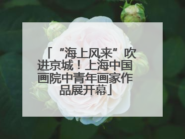 “海上风来”吹进京城！上海中国画院中青年画家作品展开幕