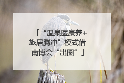 “温泉医康养+旅居腾冲”模式借南博会“出圈”