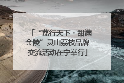 “荔行天下・甜满金陵”灵山荔枝品牌交流活动在宁举行