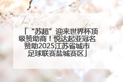“苏超”迎来世界杯顶级赞助商！悦达起亚冠名赞助2025江苏省城市足球联赛盐城赛区