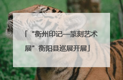 “衡州印记—篆刻艺术展”衡阳县巡展开展