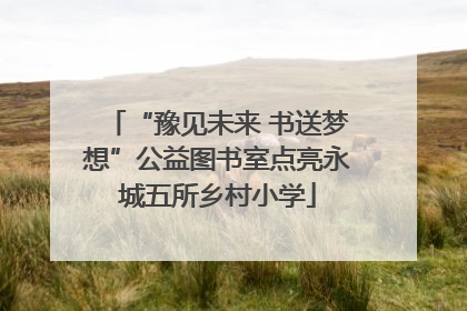 “豫见未来 书送梦想”公益图书室点亮永城五所乡村小学