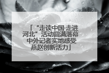 “走读中国·走进河北”活动圆满落幕 中外记者实地感受燕赵创新活力