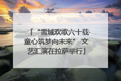 “雪域欢歌六十载·童心筑梦向未来” 文艺汇演在拉萨举行