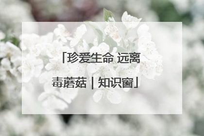 珍爱生命 远离毒蘑菇｜知识窗