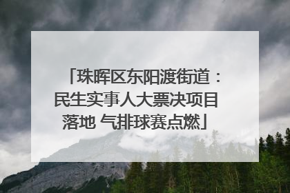 珠晖区东阳渡街道：民生实事人大票决项目落地 气排球赛点燃