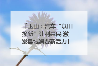 玉山：汽车“以旧换新”让利惠民 激发县域消费新活力