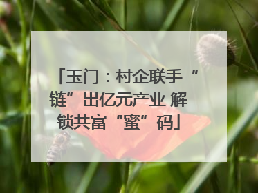 玉门：村企联手“链”出亿元产业 解锁共富“蜜”码