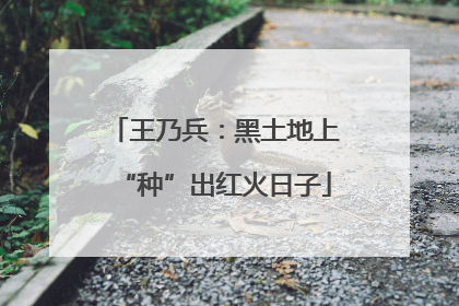 王乃兵：黑土地上“种”出红火日子