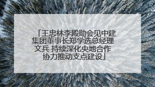 王忠林李殿勋会见中建集团董事长郑学选总经理文兵 持续深化央地合作 协力推动支点建设
