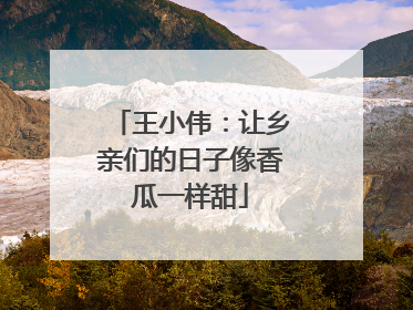 王小伟：让乡亲们的日子像香瓜一样甜